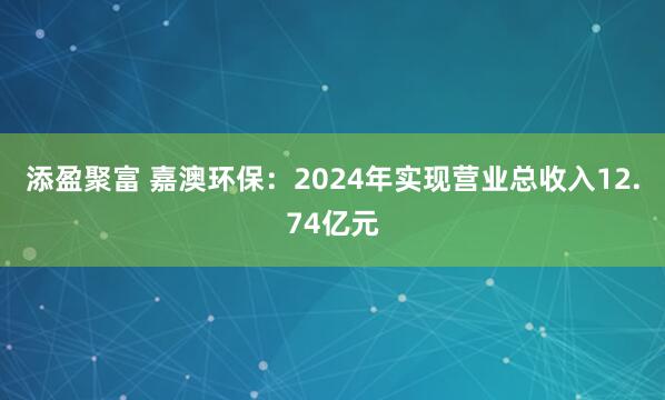 添盈聚富 嘉澳环保：2024年实现营业总收入12.74亿元