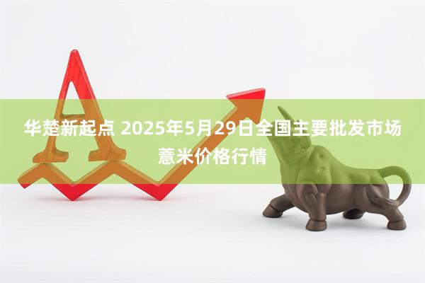 华楚新起点 2025年5月29日全国主要批发市场薏米价格行情