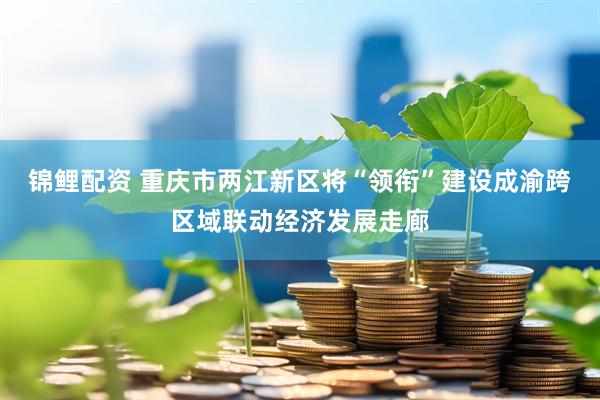 锦鲤配资 重庆市两江新区将“领衔”建设成渝跨区域联动经济发展走廊